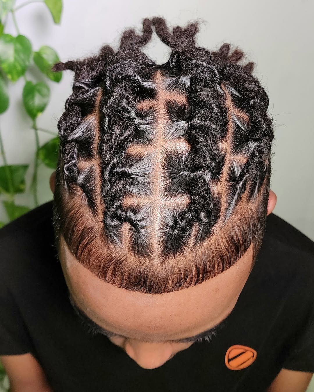 Freeform Locs Styling